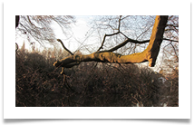 ReachingOut - Chris Berg